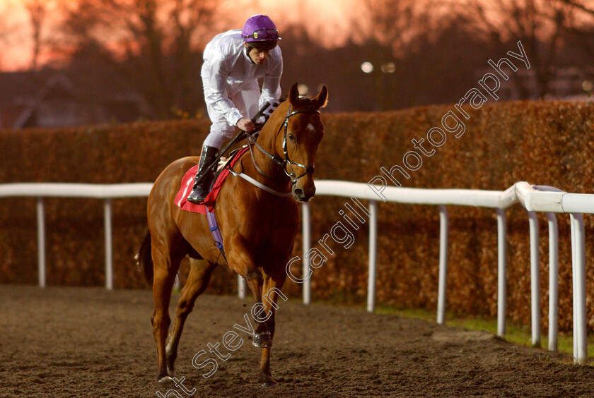 Charming-Kid-0002 
 CHARMING KID (Barry McHugh)
Kempton 4 Jan 2019 - Pic Steven Cargill / Racingfotos.com