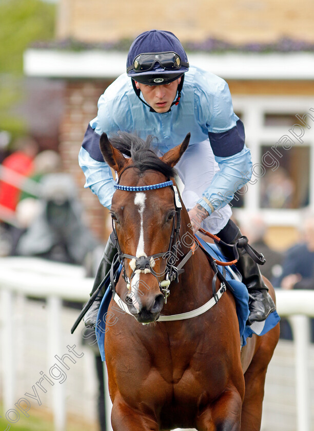 Spycatcher 
 SPYCATCHER (Clifford Lee)
York 11 May 2022 - Pic Steven Cargill / Racingfotos.com