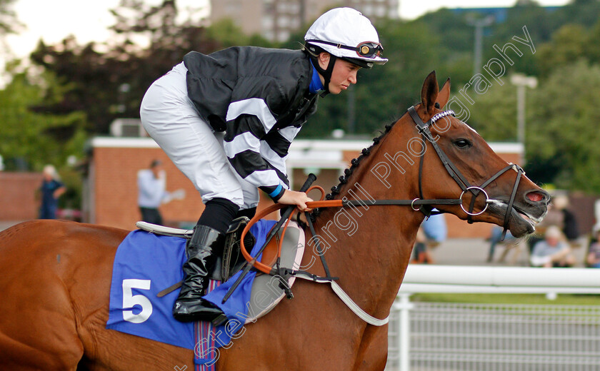 Well-Funded-0001 
 WELL FUNDED (Jane Elliott)
Nottingham 16 Jul 2019 - Pic Steven Cargill / Racingfotos.com