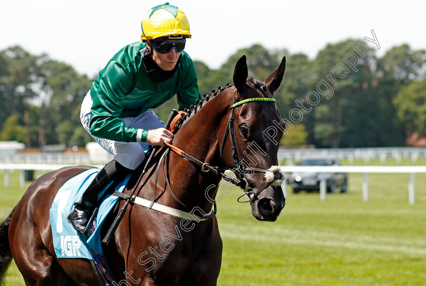 Destiny-Queen-0001 
 DESTINY QUEEN (Pat Corsgrave) winner of The John Guest Racing British EBF Fillies Novice Stakes
Ascot 23 Jul 2021 - Pic Steven Cargill / Racingfotos.com