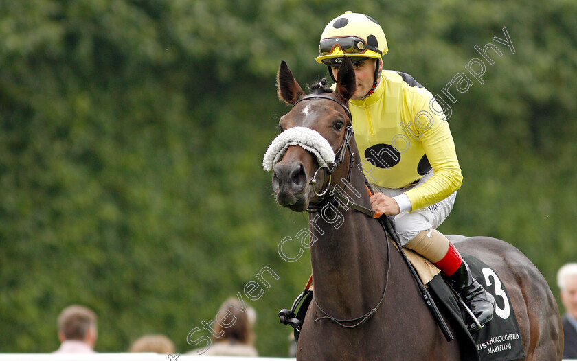 Dubai-Jewel-0001 
 DUBAI JEWEL (Andrea Atzeni)
Salisbury 2 Sep 2021 - Pic Steven Cargill / Racingfotos.com