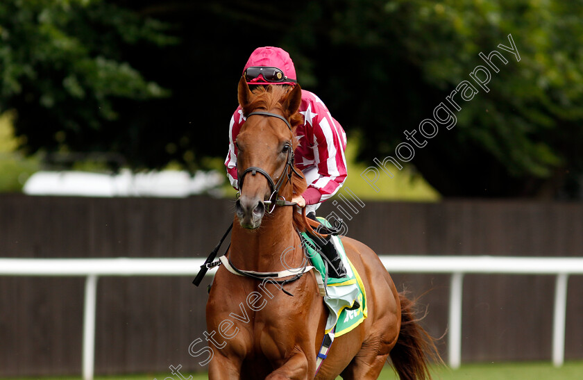 Aafoor-0002 
 AAFOOR (Szczepan Mazur)
Newmarket 13 Jul 2024 - Pic Steven Cargill / Racingfotos.com