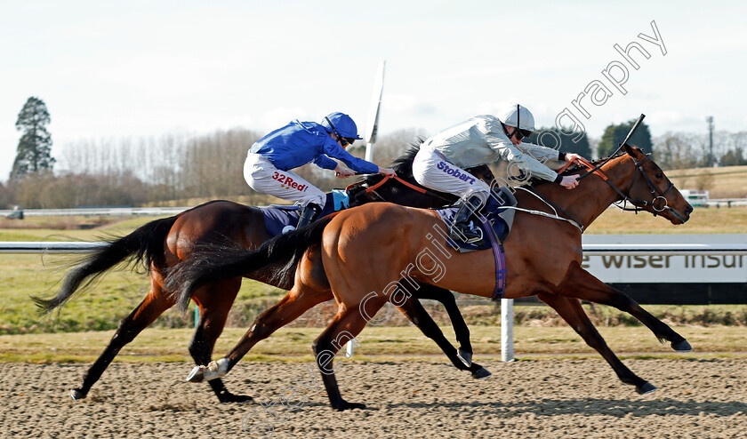 Vale-Of-Kent-0004 
 VALE OF KENT (Joe Fanning) wins The 32Red.com Novice Stakes Lingfield 16 Feb 2018 - Pic Steven Cargill / Racingfotos.com