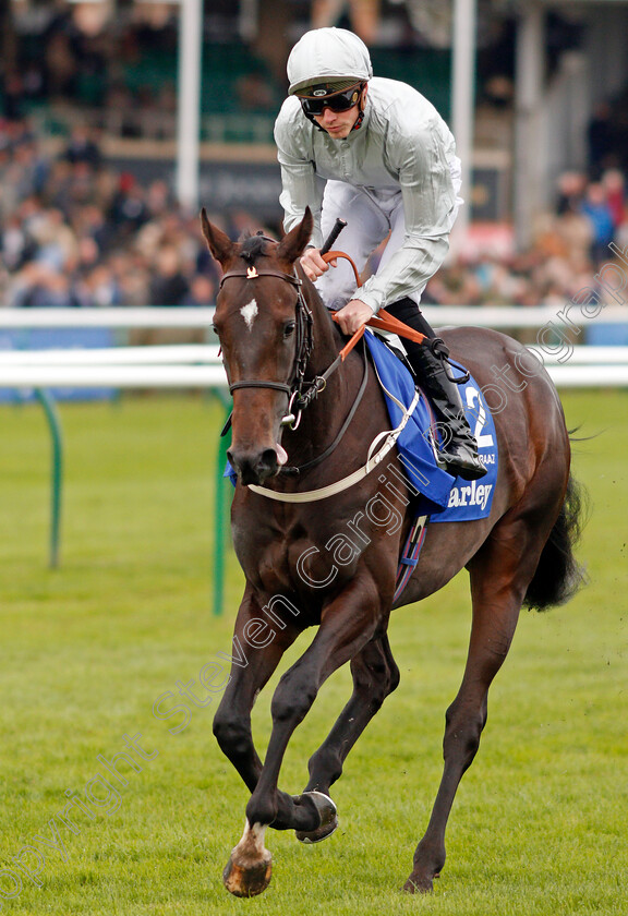 Iffraaz-0001 
 IFFRAAZ (James Doyle)
Newmarket 12 Oct 2019 - Pic Steven Cargill / Racingfotos.com