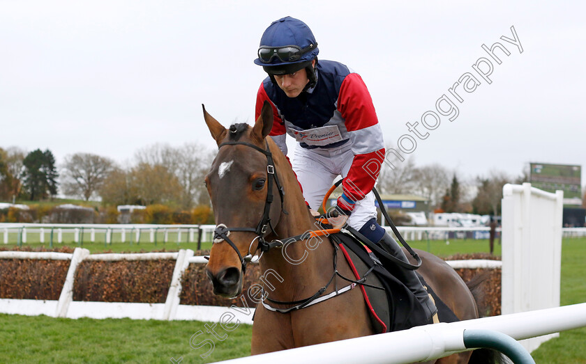 Barricane-0001 
 BARRICANE (Lewis Saunders)
Warwick 22 Nov 2023 - Pic Steven Cargill / Racingfotos.com