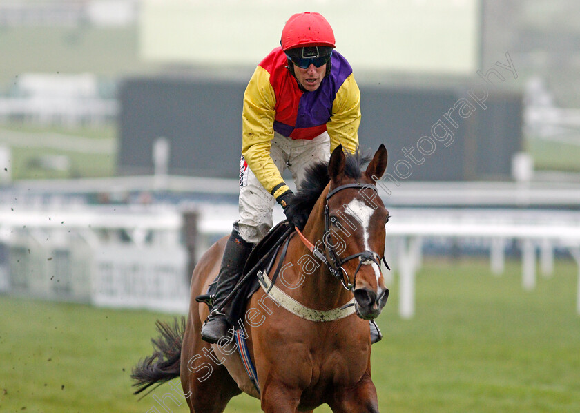 Harry-Senior-0007 
 HARRY SENIOR (Robbie Power) wins The Ballymore Novices Hurdle
Cheltenham 25 Jan 2020 - Pic Steven Cargill / Racingfotos.com