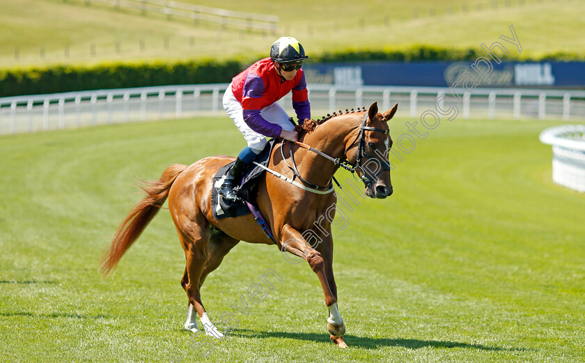 Dornoch-Castle-0001 
 DORNOCH CASTLE (William Buick)
Goodwood 26 May 2023 - Pic Steven Cargill / Racingfotos.com