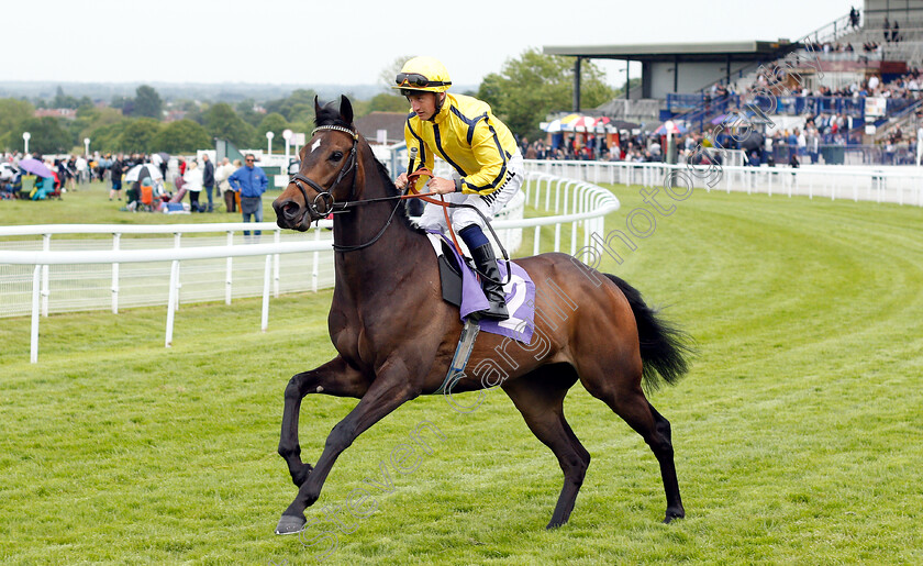 Kodiac-Pride-0001 
 KODIAC PRIDE (Tom Marquand) winner of The Skidby Novice Stakes
Beverley 29 May 2019 - Pic Steven Cargill / Racingfotos.com