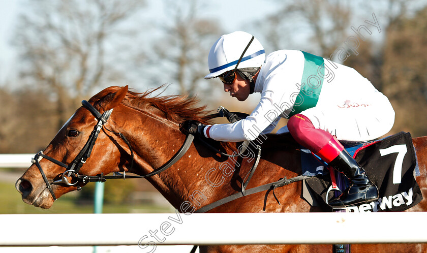 Wissahickon-0013 
 WISSAHICKON (Frankie Dettori) wins The Betway Winter Derby Stakes
Lingfield 23 Feb 2019 - Pic Steven Cargill / Racingfotos.com