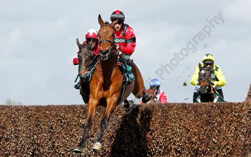 Ahoy-Senor-0002 
 AHOY SENOR (Brian Hughes)
Aintree 13 Apr 2023 - Pic Steven Cargill / Racingfotos.com