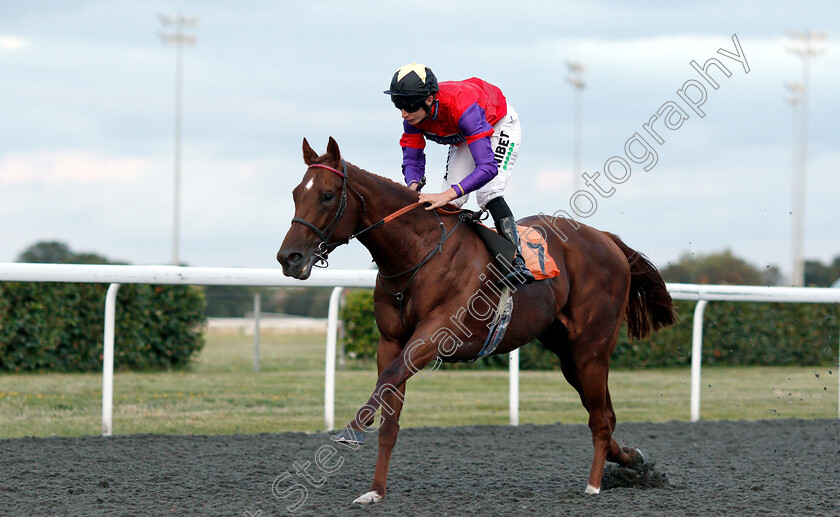 Land-Of-Oz-0004 
 LAND OF OZ (Luke Morris) wins The Matchbook Casino Handicap
Kempton 7 Aug 2019 - Pic Steven Cargill / Racingfotos.com