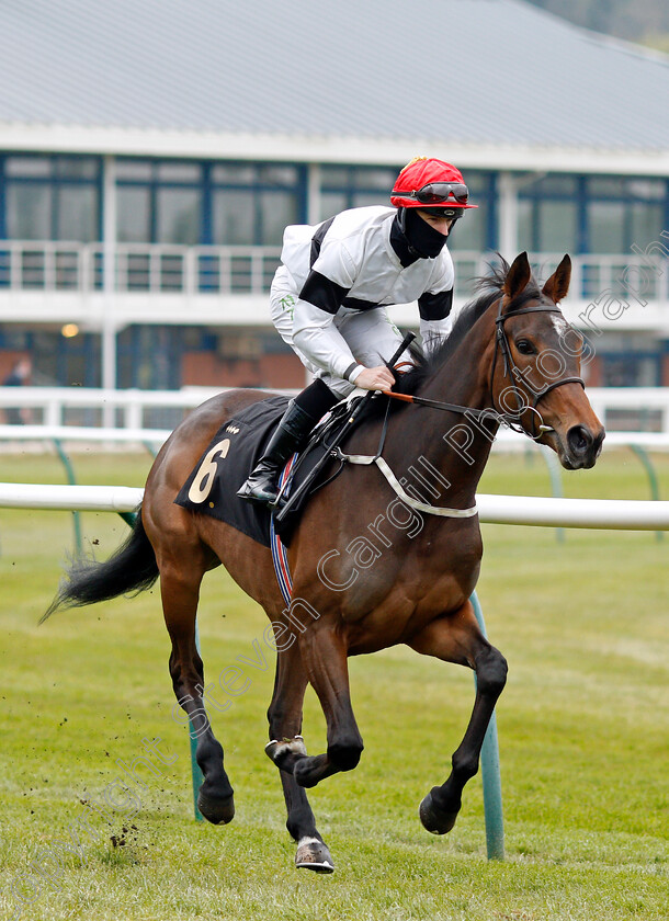 Hesperis-0001 
 HESPERIS (Richard Kingscote)
Nottingham 27 Apr 2021 - Pic Steven Cargill / Racingfotos.com