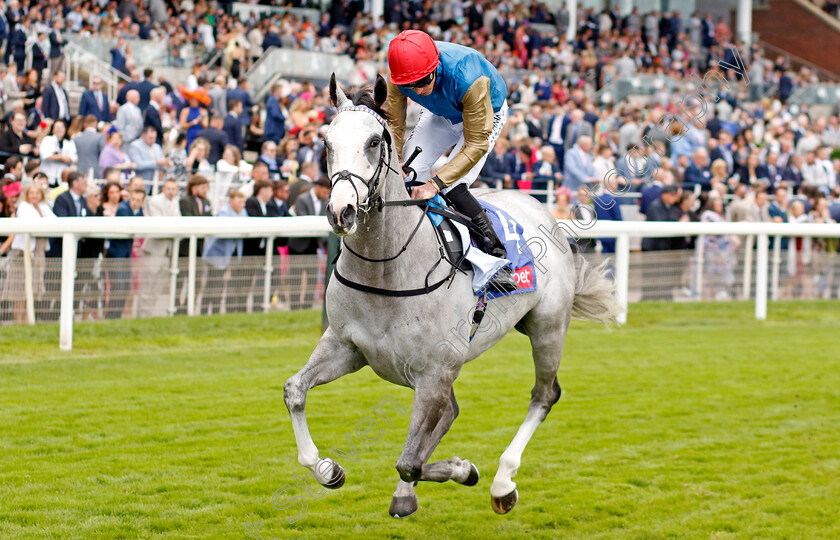 Haunted-Dream-0001 
 HAUNTED DREAM (James Doyle)
York 24 Aug 2024 - Pic Steven Cargill / Racingfotos.com