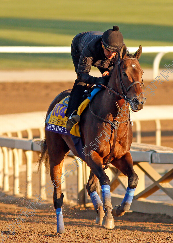 Mckinzie-0002 
 MCKINZIE training for The Breeders' Cup Classic
Santa Anita USA 31 Oct 2019 - Pic Steven Cargill / Racingfotos.com