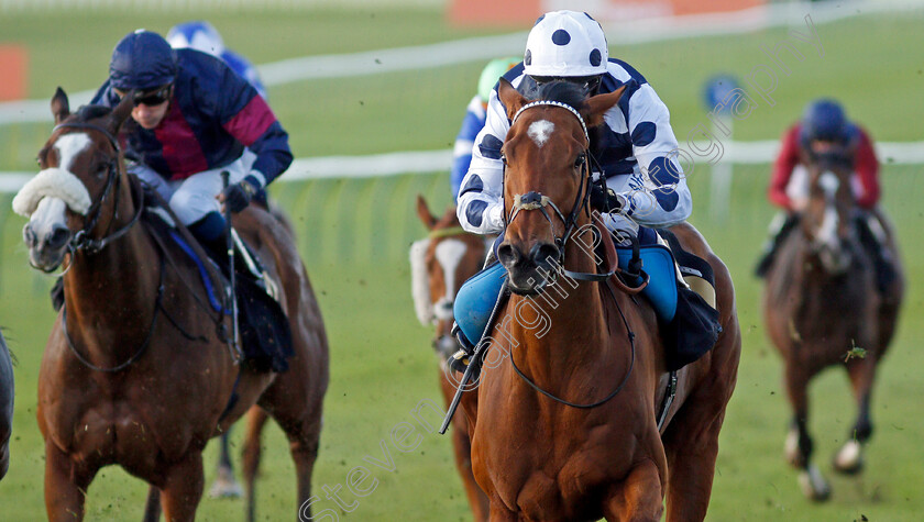 Rebel-Territory-0005 
 REBEL TERRITORY (Jim Crowley) wins The 888sport What's Your Thinking Handicap
Newmarket 30 Oct 2021 - Pic Steven Cargill / Racingfotos.com