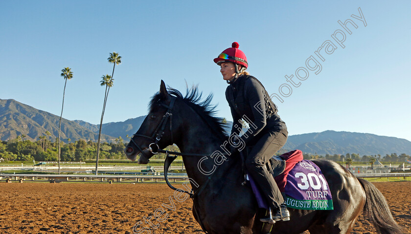 Auguste-Rodin-0003 
 AUGUSTE RODIN training for The Breeders' Cup Turf 
Santa Anita USA, 31 October 2023 - Pic Steven Cargill / Racingfotos.com