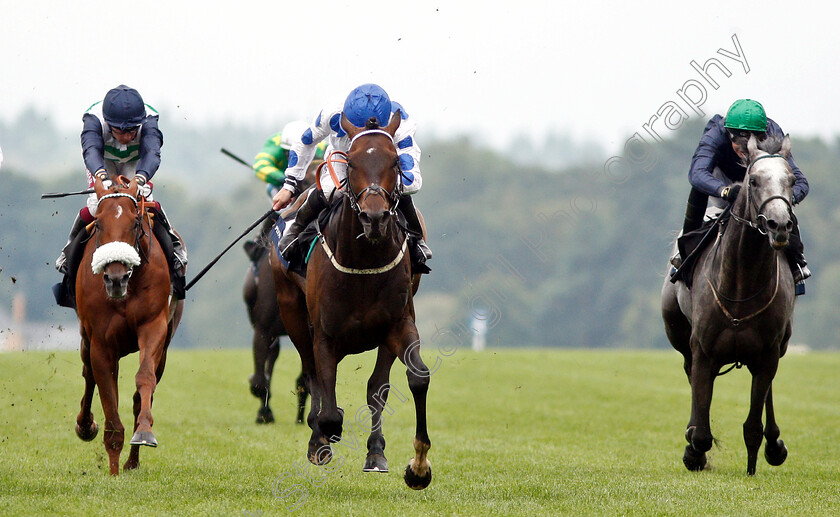 Western-Duke-0002 
 WESTERN DUKE (centre, P J McDonald) wins The Plymouth Fruit Cup Hadicap
Ascot 27 Jul 2019 - Pic Steven Cargill / Racingfotos.com