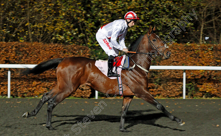 Via-Via-0001 
 VIA VIA (Luke Morris) Kempton 22 Nov 2017 - Pic Steven Cargill / Racingfotos.com