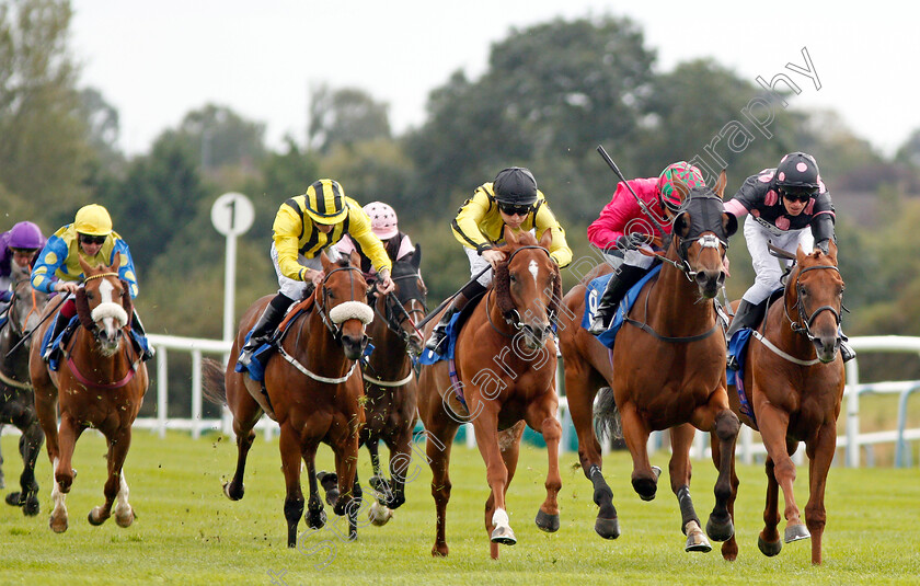 Twittering-0001 
 TWITTERING (2nd right, Nicola Currie) beats THE GINGER BULLET (right) and TIMON (centre) in The Lowesby Selling Stakes
Leicester 10 Sep 2019 - Pic Steven Cargill / Racingfotos.com