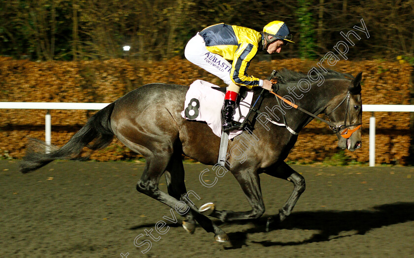 Just-The-Man-0001 
 JUST THE MAN (Adam Kirby)
Kempton 12 Dec 2018 - Pic Steven Cargill / Racingfotos.com