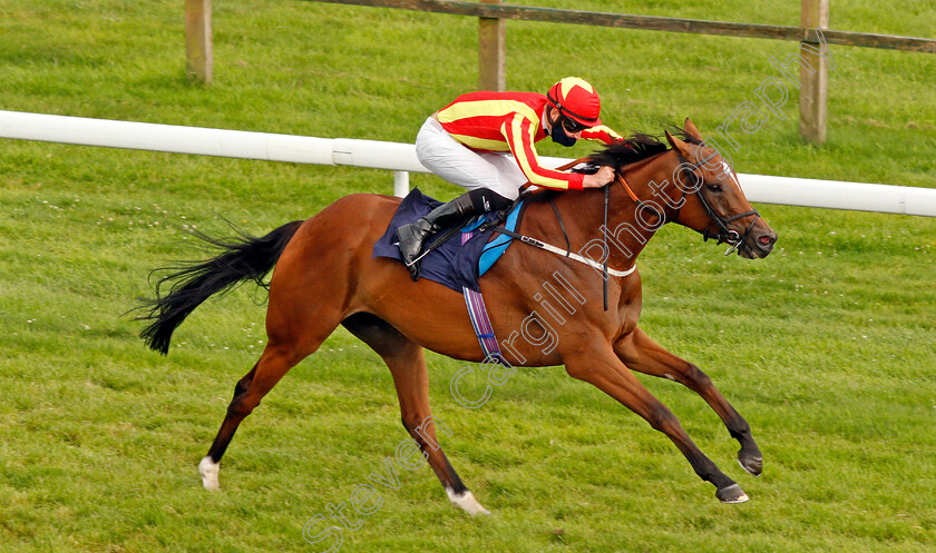 Singing-The-Blues-0011 
 SINGING THE BLUES (Daniel Muscutt) wins The valuerater.co.uk Handicap
Bath 18 Jul 2020 - Pic Steven Cargill / Racingfotos.com