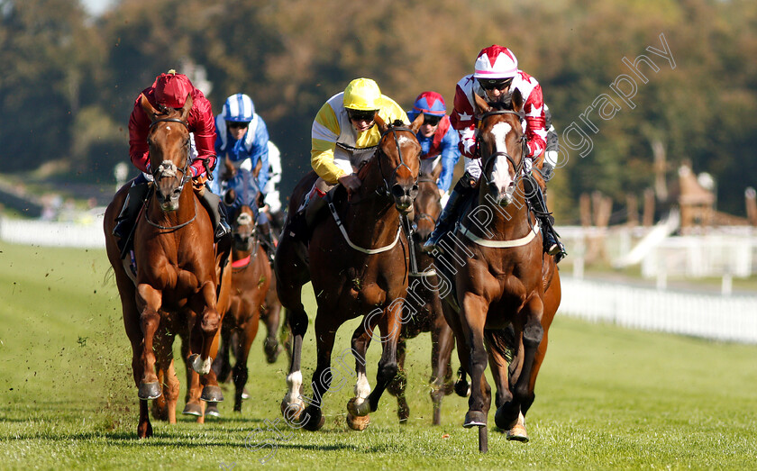 Enigmatic-0004 
 ENIGMATIC (right, Josephine Gordon) beats SOUTH SEAS (left) and SEDUCE ME (centre) in The Maltsmiths Optional Claiming Handicap
Goodwood 26 Sep 2018 - Pic Steven Cargill / Racingfotos.com