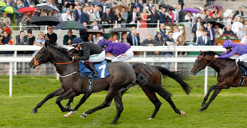 Magical-Max-0006 
 MAGICAL MAX (Andrew Mullen) wins The Reg Griffin Appreciation EBFstallions.com Maiden Stakes
York 15 Jun 2019 - Pic Steven Cargill / Racingfotos.com