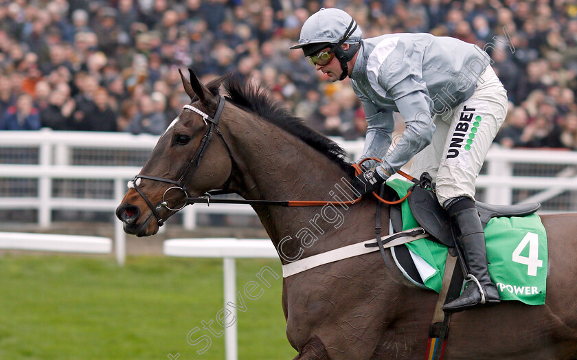 Santini-0011 
 SANTINI (Nico de Boinville) wins The Paddy Power Cotswold Chase
Cheltenham 25 Jan 2020 - Pic Steven Cargill / Racingfotos.com