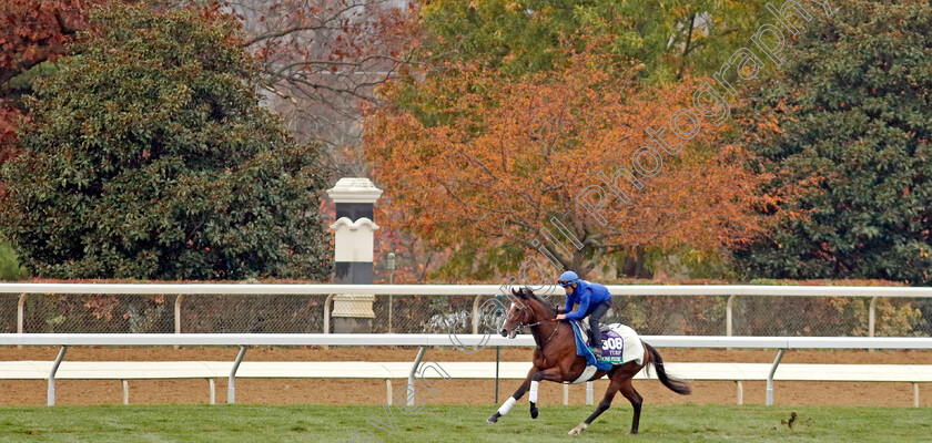 Nations-Pride-0001 
 NATIONS PRIDE training for the Breeders' Cup Turf 
Keeneland USA 2 Nov 2022 - Pic Steven Cargill / Racingfotos.com