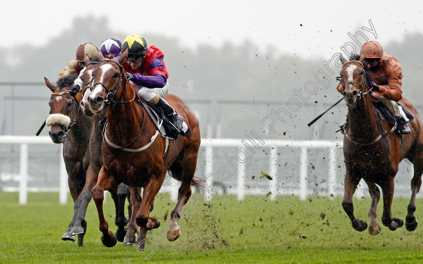 Rochester-House-0001 
 ROCHESTER HOUSE (Joe Fanning) wins The ABF Soldiers' Charity Gordon Carter Handicap
Ascot 2 Oct 2020 - Pic Steven Cargill / Racingfotos.com