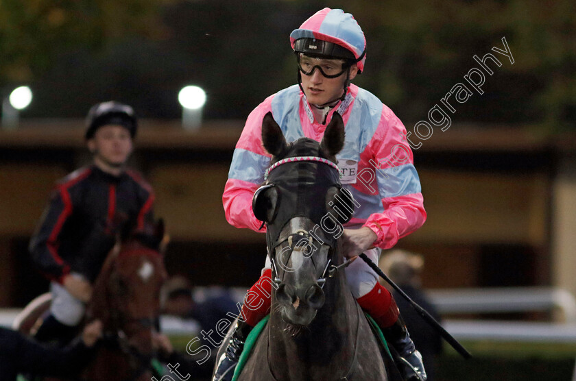 The-Ice-Phoenix-0001 
 THE ICE PHOENIX (David Egan)
Kempton 2 Oct 2024 - pic Steven Cargill / Racingfotos.com