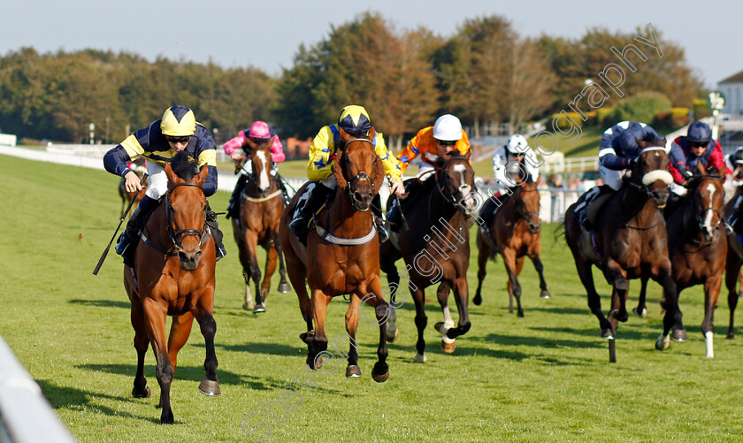 Sweet-Reward-0003 
 SWEET REWARD (left, Hector Crouch) beats LYNDON B (centre) in the Jackson-Stops Handicap
Goodwood 22 Sep 2021 - Pic Steven Cargill / Racingfotos.com