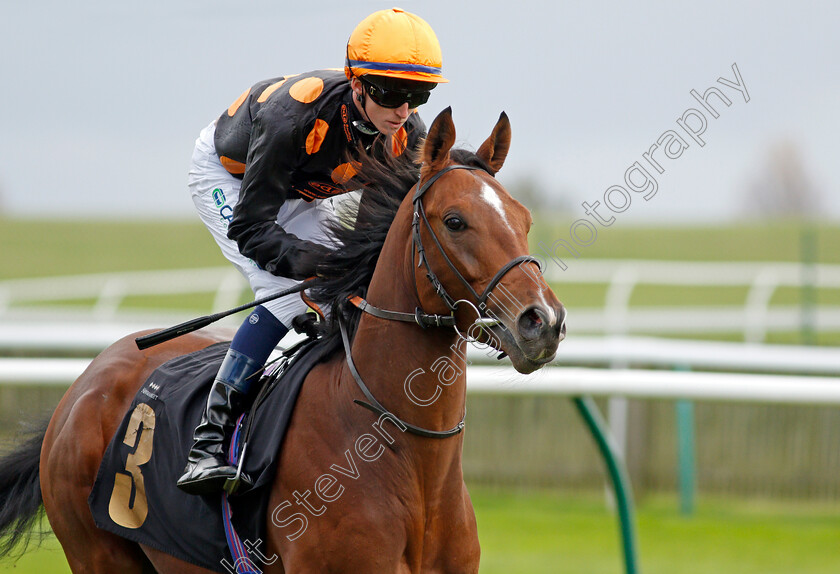 Dizzy-Ed-0002 
 DIZZY ED (Darragh Keenan)
Newmarket 29 Oct 2021 - Pic Steven Cargill / Racingfotos.com