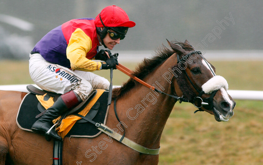 Native-River-0007 
 NATIVE RIVER (Richard Johnson) wins The Betfair Denman Chase Newbury 10 Feb 2018 - Pic Steven Cargill / Racingfotos.com