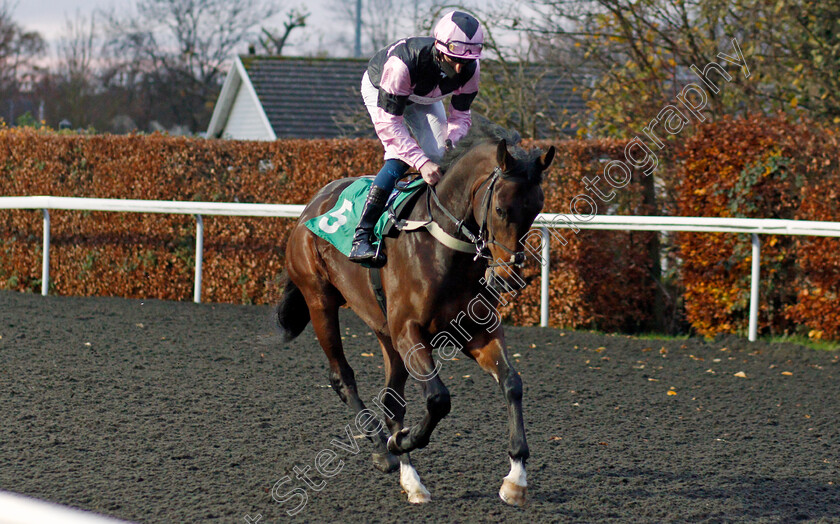 Breezyandbright-0001 
 BREEZYANDBRIGHT (Daniel Muscutt)
Kempton 25 Nov 2020 - Pic Steven Cargill / Racingfotos.com