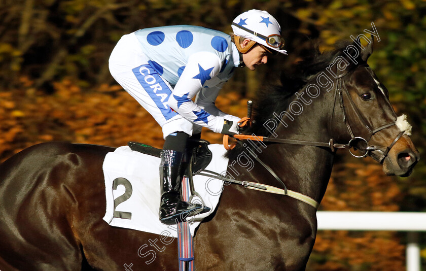 Midnight-Ravens-0002 
 MIDNIGHT RAVENS (Kieran O'Neill)
Kempton 13 Dec 2023 - Pic Steven Cargill / Racingfotos.com