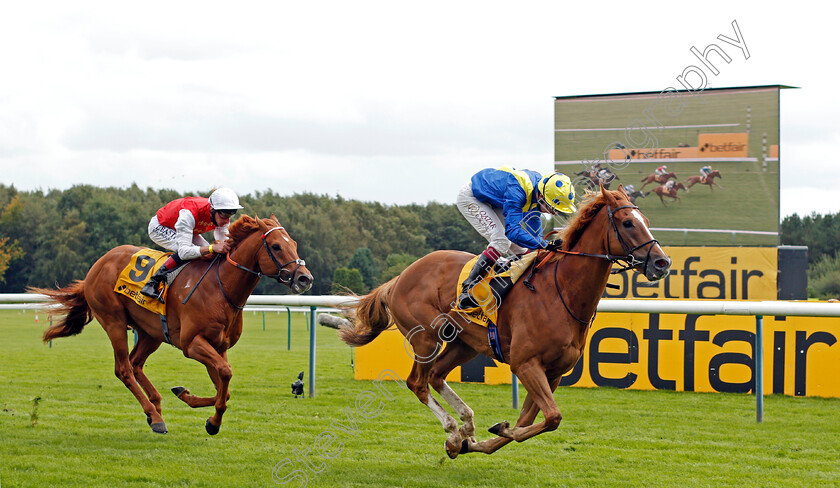 Dream-Of-Dreams-0006 
 DREAM OF DREAMS (Oisin Murphy) beats GOLDEN HORDE (left) in The Betfair Sprint Cup
Haydock 5 Sep 2020 - Pic Steven Cargill / Racingfotos.com