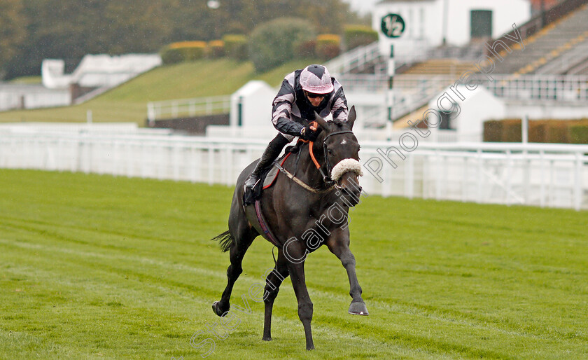 Makawee-0003 
 MAKAWEE (James Doyle) wins The Download The Tote Placepot App Fillies Handicap
Goodwood 23 Sep 2020 - pic Steven Cargill / Racingfotos.com