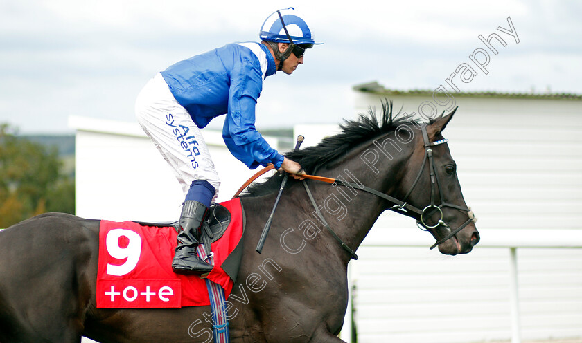 Mutasaabeq-0001 
 MUTASAABEQ (Jim Crowley)
Goodwood 28 Aug 2021 - Pic Steven Cargill / Racingfotos.com