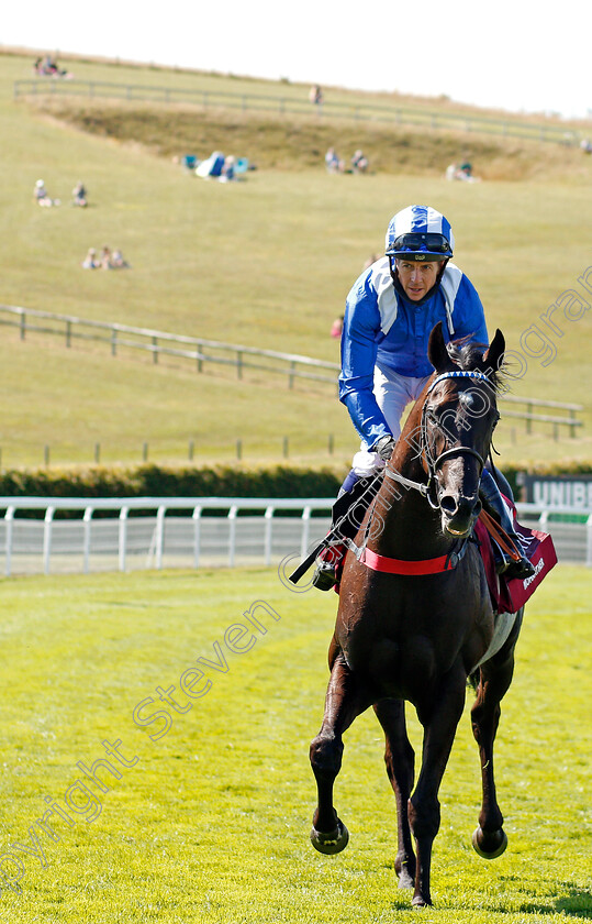 Mohaather-0010 
 MOHAATHER (Jim Crowley) after The Sussex Stakes
Goodwood 29 Jul 2020 - Pic Steven Cargill / Racingfotos.com