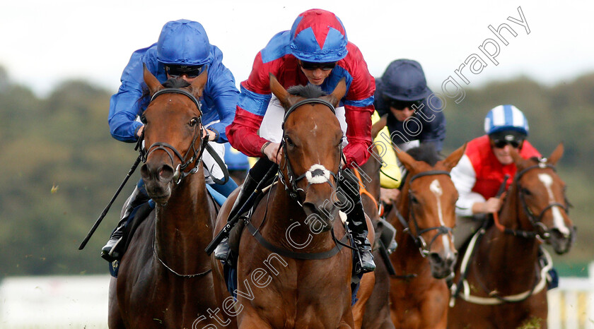 Powerful-Breeze-0005 
 POWERFUL BREEZE (James Doyle) beats ALPEN ROSE (left) in The William Hill May Hill Stakes
Doncaster 12 Sep 2019 - Pic Steven Cargill / Racingfotos.com