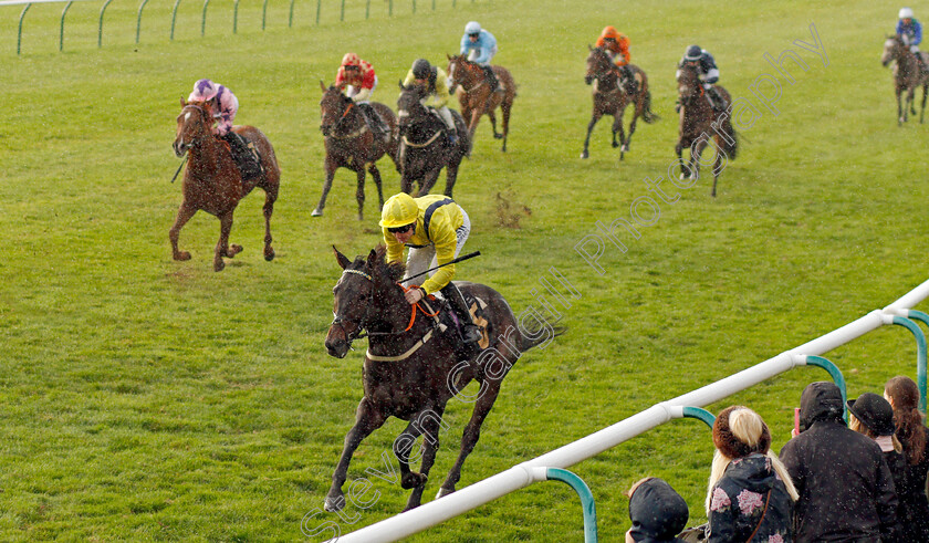 Going-Gone-0005 
 GOING GONE (Pat Cosgrave) wins The 888sport Bet Builder Handicap
Newmarket 29 Oct 2021 - Pic Steven Cargill / Racingfotos.com