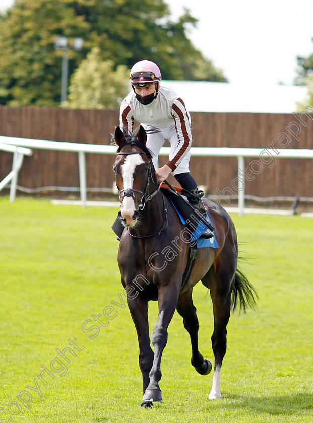 Seven-Pockets-0001 
 SEVEN POCKETS (Cameron Noble)
Leicester 15 Jul 2021 - Pic Steven Cargill / Racingfotos.com