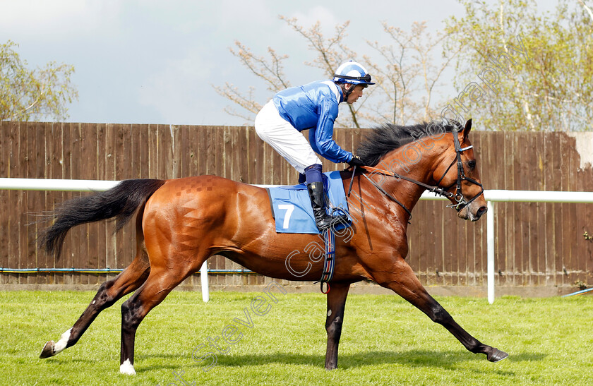 Naqeeb-0002 
 NAQEEB (Jim Crowley)
Leicester 29 Apr 2023 - Pic Steven Cargill / Racingfotos.com