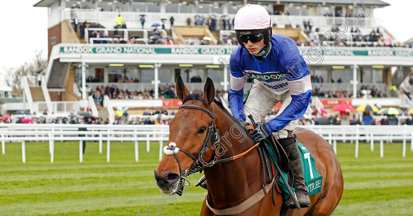 Pic-d Orhy-0006 
 PIC D'ORHY (Harry Cobden) winner of The Marsh Melling Chase
Aintree 14 Apr 2023 - Pic Steven Cargill / Racingfotos.com