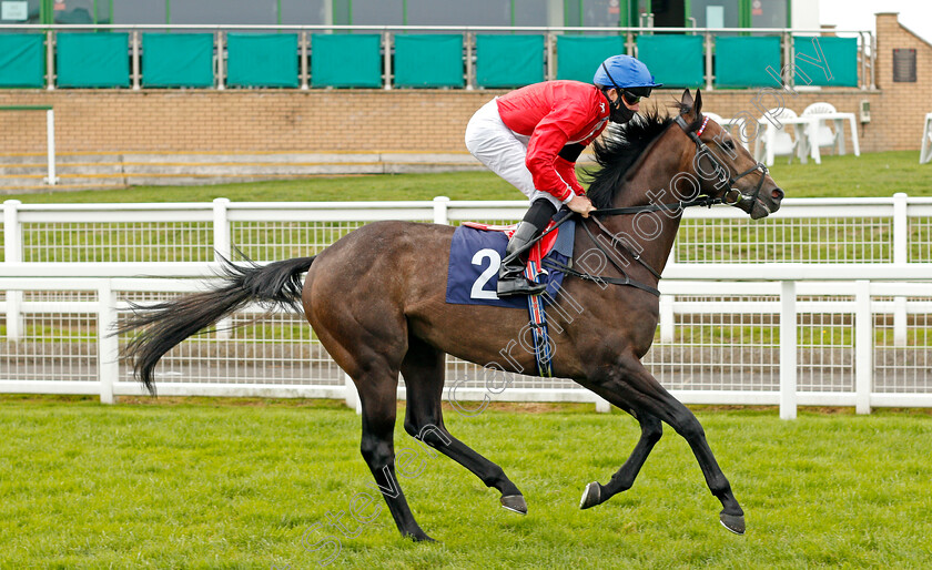 Fundamental-0001 
 FUNDAMENTAL (Martin Harley)
Yarmouth 16 Sep 2020 - Pic Steven Cargill / Racingfotos.com