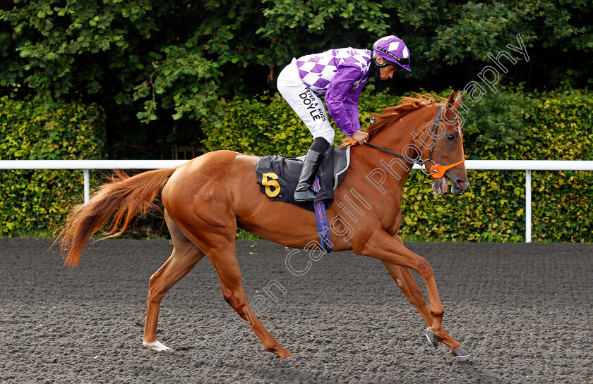 Indian-Guru-0001 
 INDIAN GURU (Sean Levey) 
Kempton 30 Jun 2021 - Pic Steven Cargill / Racingfotos.com