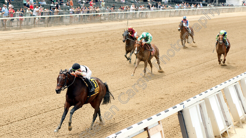 Lewis-Bay-0003 
 LEWIS BAY (Irad Ortiz) wins The Bed O'Roses Invitational Stakes
Belmont Park 8 Jun 2018 - Pic Steven Cargill / Racingfotos.com