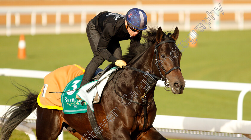 Crown-Pride-0001 
 CROWN PRIDE training for The Saudi Cup
King Abdulaziz Racecourse, Kingdom of Saudi Arabia, 22 Feb 2023 - Pic Steven Cargill / Racingfotos.com