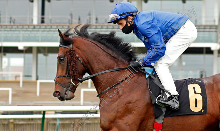 Symbolic-Power-0003 
 SYMBOLIC POWER (William Buick)
Newmarket 21 Oct 2020 - Pic Steven Cargill / Racingfotos.com